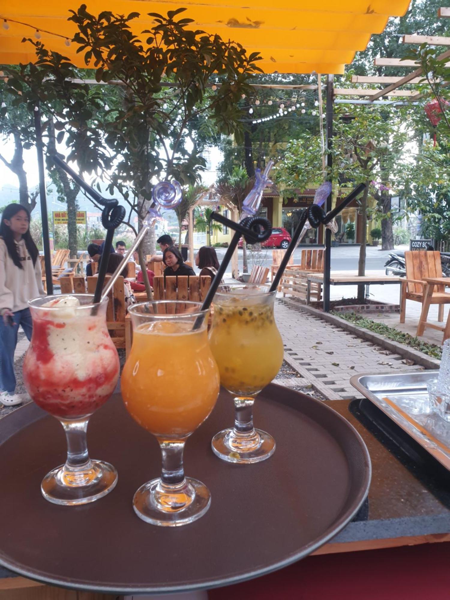 Cozy Son Hotel Ninh Binh Exterior photo